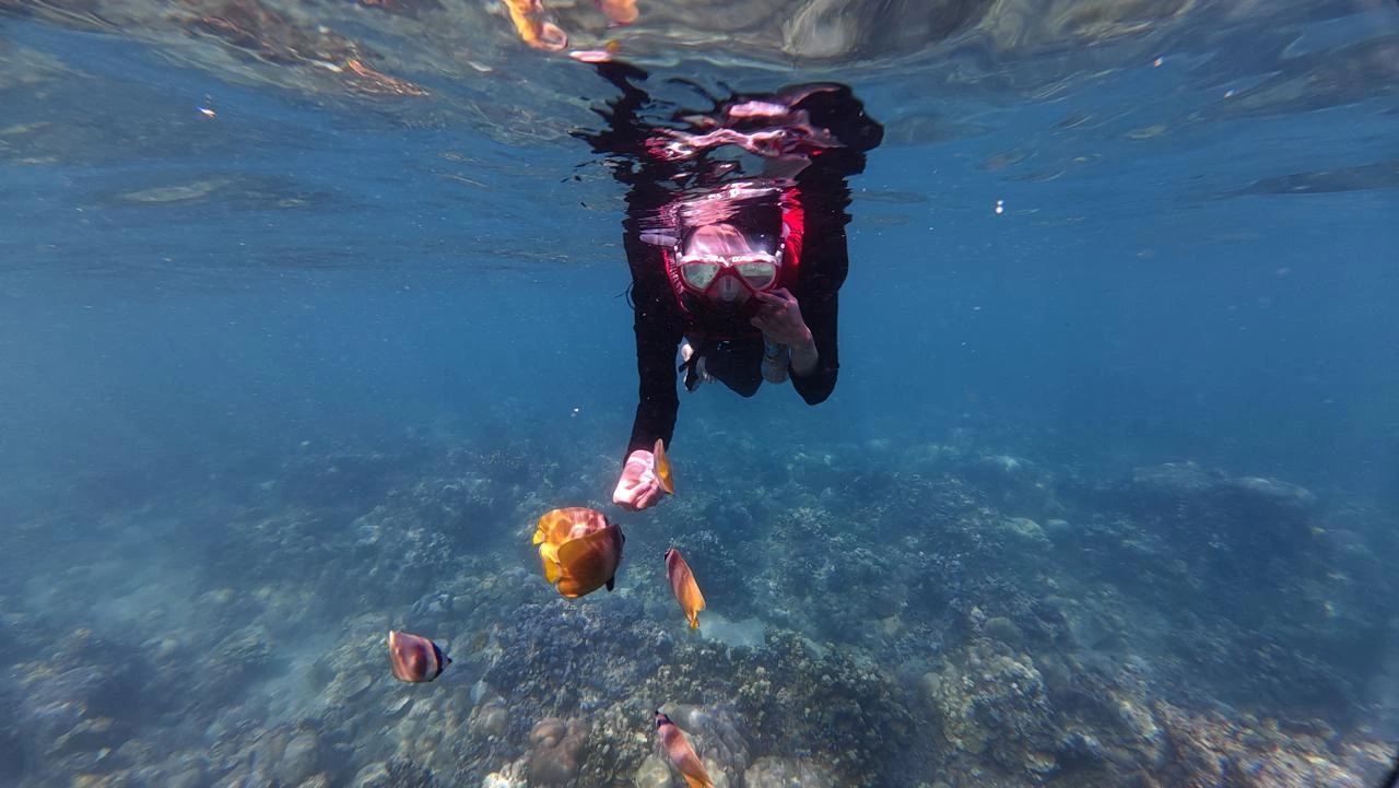 Snorkeler swimming above a coral reef surrounded by tropical fish in Amed